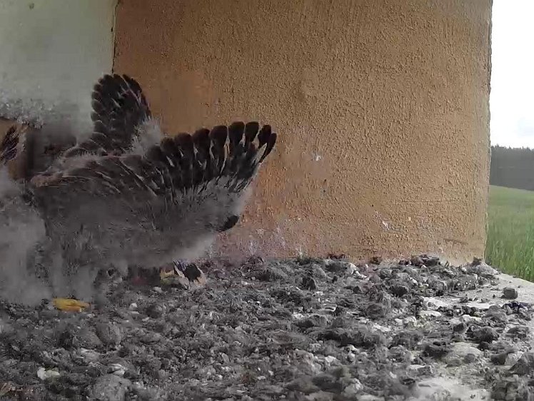 Frame_2021-07-30_09-44-06 09:44