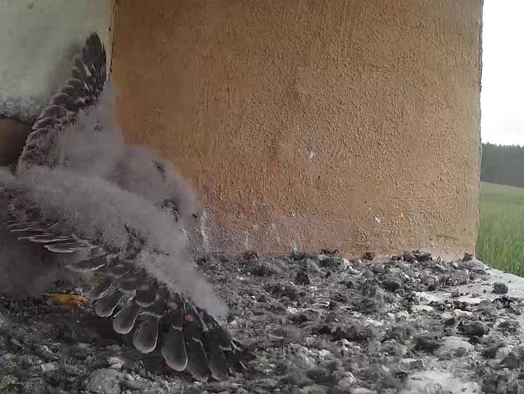 Frame_2021-07-30_09-44-11 09:44