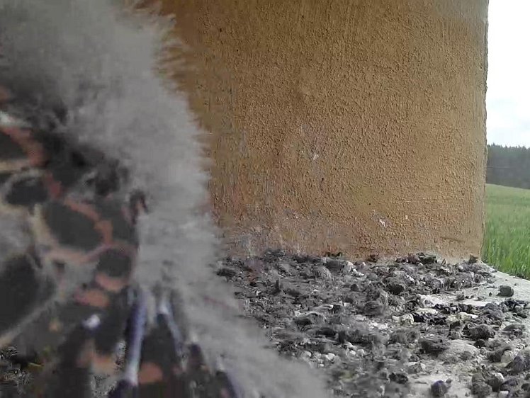 Frame_2021-07-30_11-12-46 11:12