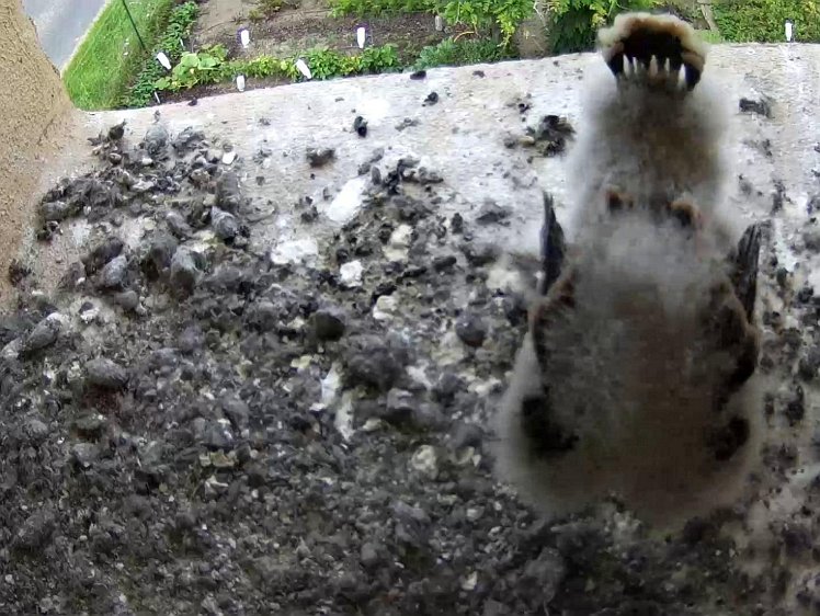 Frame_2021-07-30_11-15-40 11:15