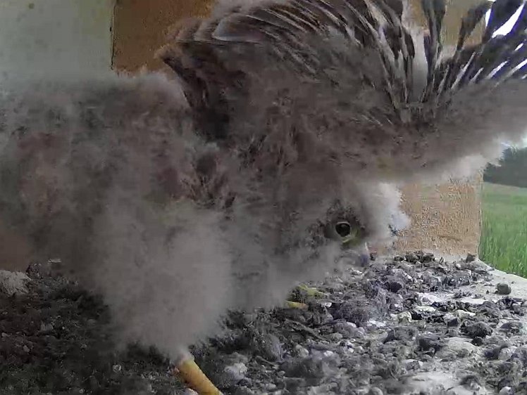 Frame_2021-07-30_11-26-59 11:26