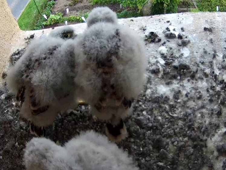 Frame_2021-07-30_11-49-03 11:49 still waiting for a food delivery