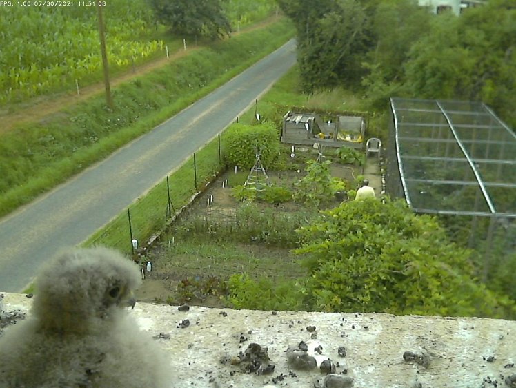 Frame_2021-07-30_11-51-08 11:51 I'm being watched