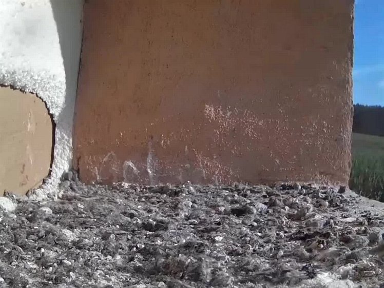 20210731_090342_edit1-0833 video 08:31 cock brings food