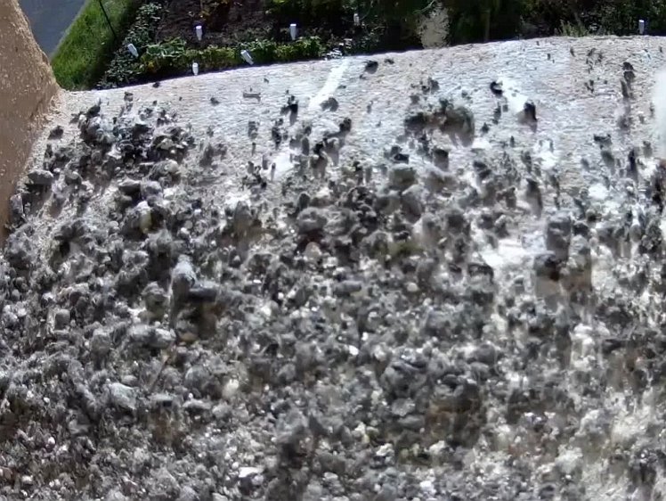 20210731_090458_edit1-0833 video 08:31 cock brings food