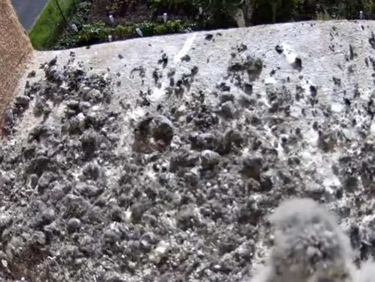 20210731_091334_edit1-0855 video 08:58 cock brings food