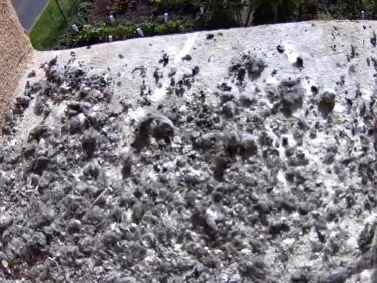 20210731_093811_edit1-0935 video 09:36 hen brings food