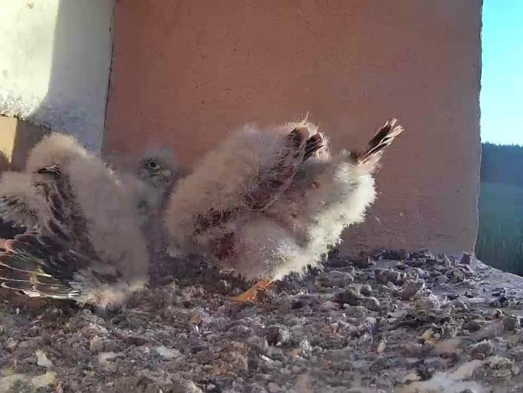 Frame_2021-07-31_06-39-09 06:39