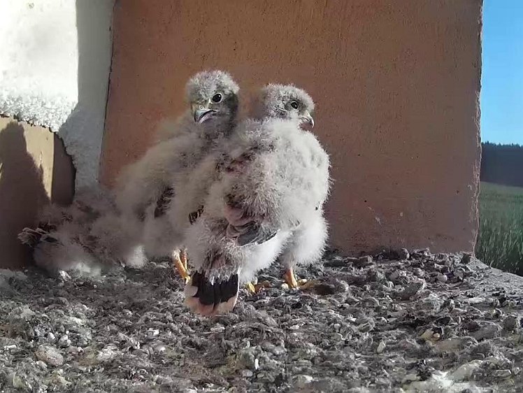 Frame_2021-07-31_07-39-32 07:39