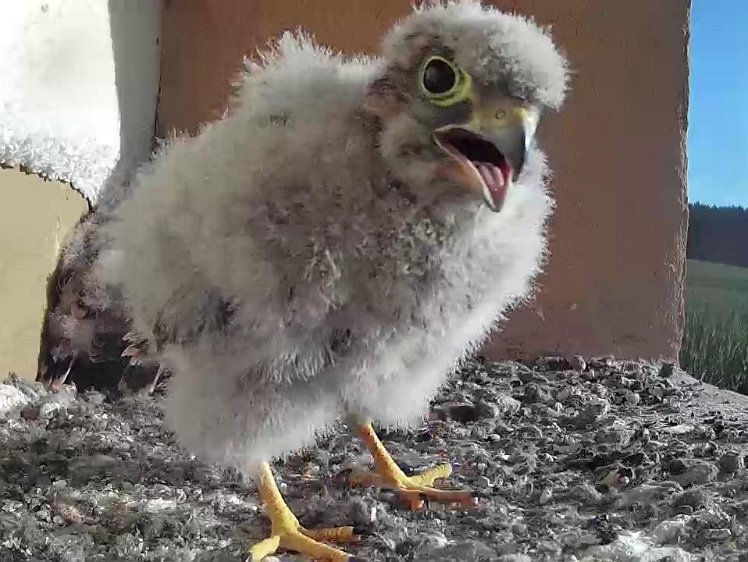 Frame_2021-07-31_08-01-43 08:01