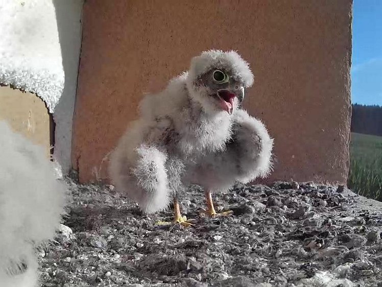 Frame_2021-07-31_08-17-36 08:17