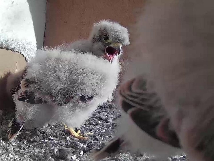 Frame_2021-07-31_08-33-32 08:33