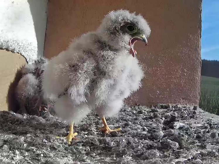 Frame_2021-07-31_08-34-38 08:34