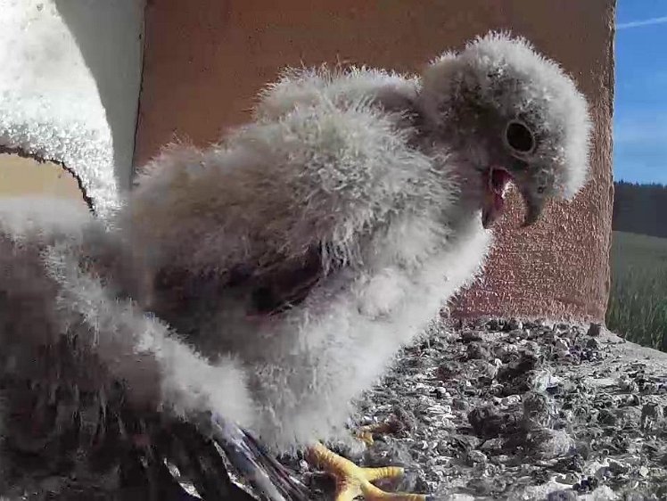 Frame_2021-07-31_08-59-13 08:59