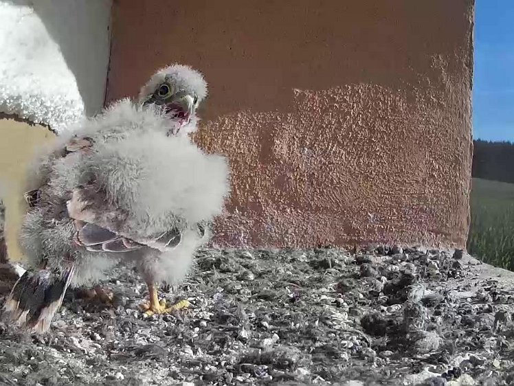 Frame_2021-07-31_09-07-10 09:07