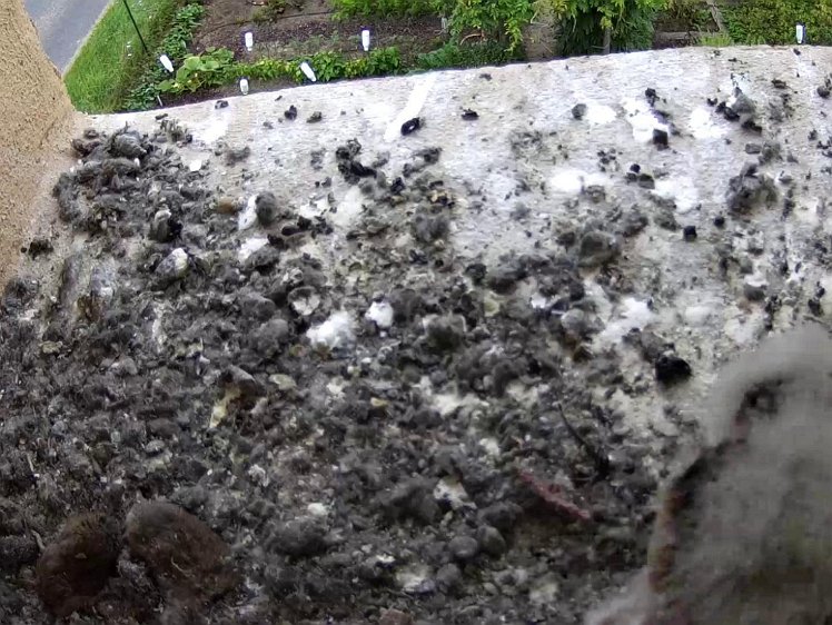 Frame_2021-08-01_07-46-41 07:46 still uneaten food