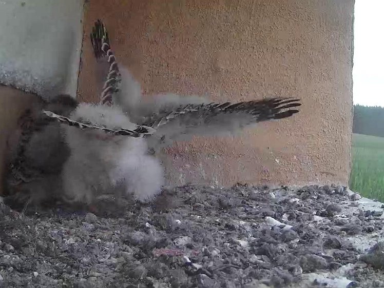 Frame_2021-08-01_07-47-06 07:47