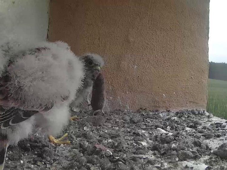 Frame_2021-08-01_08-12-21 08:12