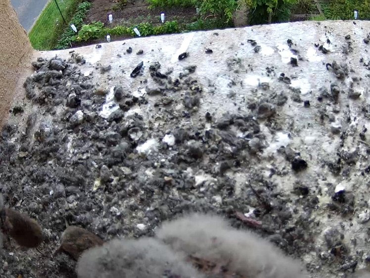 Frame_2021-08-01_08-12-27 08:12