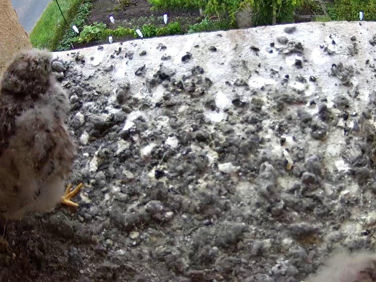 Frame_2021-08-02_06-25-33 06:25