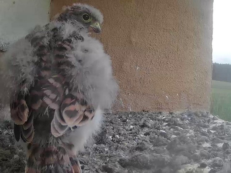 Frame_2021-08-02_08-06-53 08:46