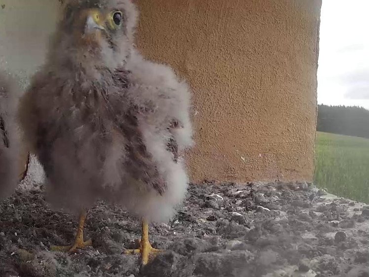 Frame_2021-08-02_10-03-16 10:03