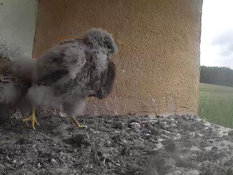 Frame_2021-08-02_12-19-54 12:19