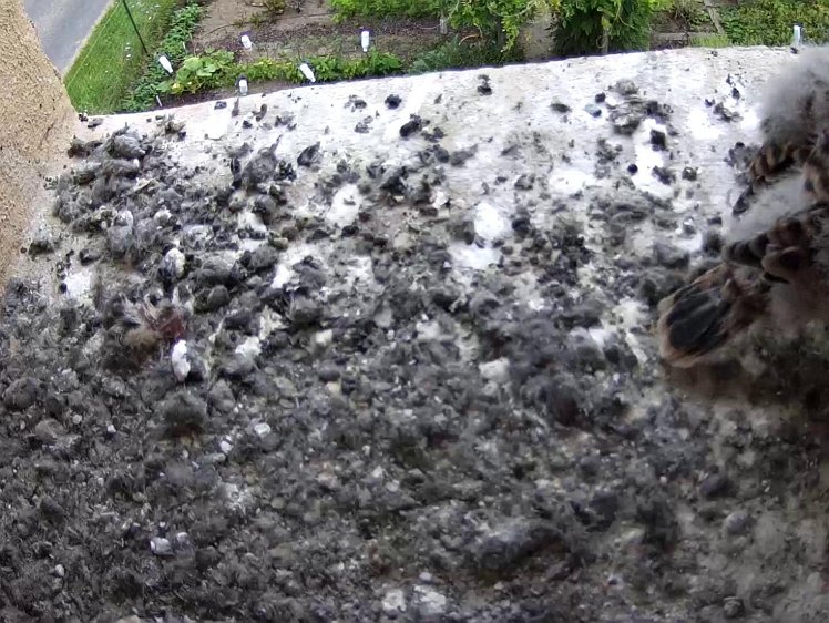 Frame_2021-08-02_12-28-55 12:28