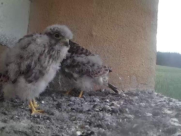 Frame_2021-08-04_06-48-21 06:48