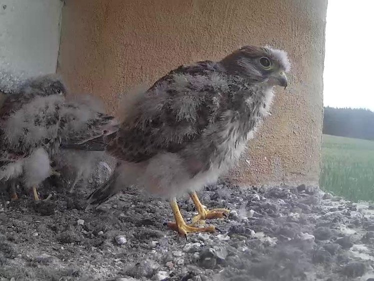 Frame_2021-08-04_06-51-38 06:51