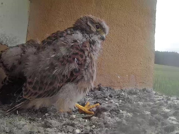 Frame_2021-08-04_07-39-16 07:39