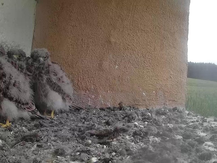 Frame_2021-08-04_07-53-25 07:53