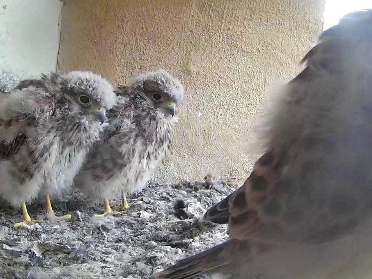 Frame_2021-08-04_08-49-43 08:49