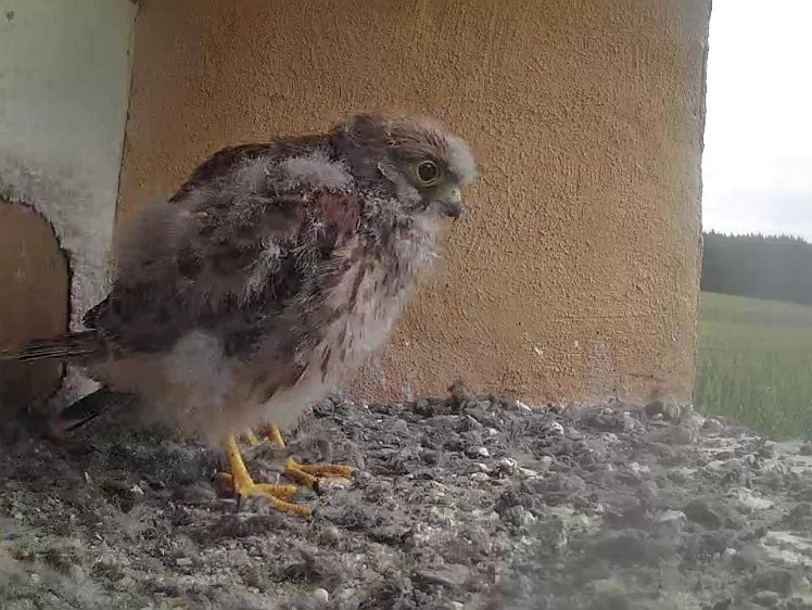 Frame_2021-08-04_08-53-10 08:53