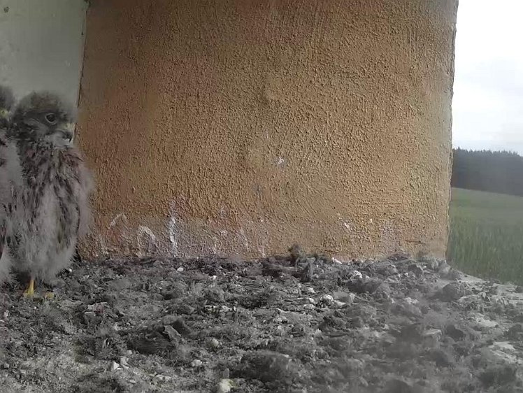 Frame_2021-08-04_09-58-17 09:58