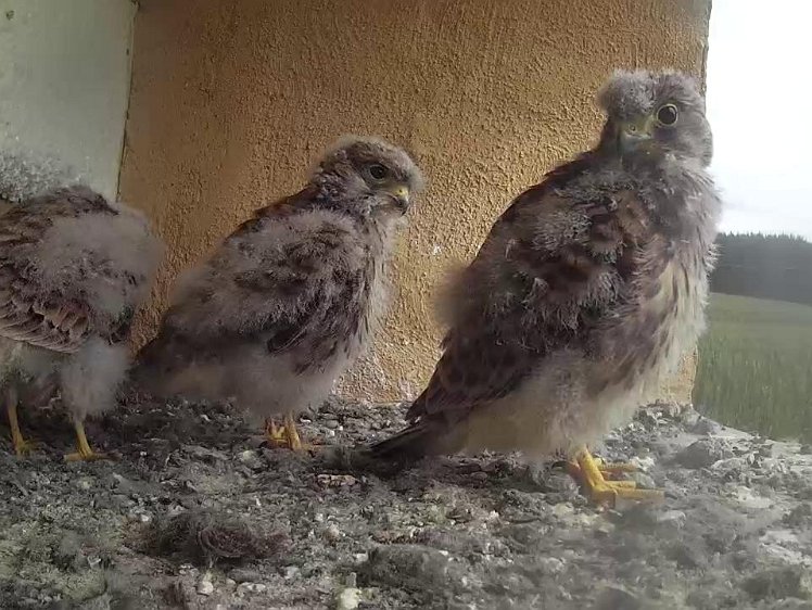 Frame_2021-08-04_10-56-07 10:56