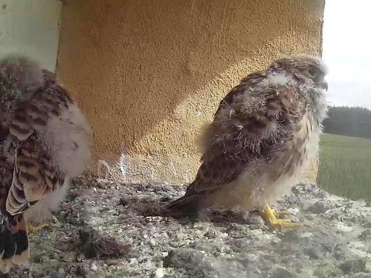 Frame_2021-08-04_10-57-58 10:57