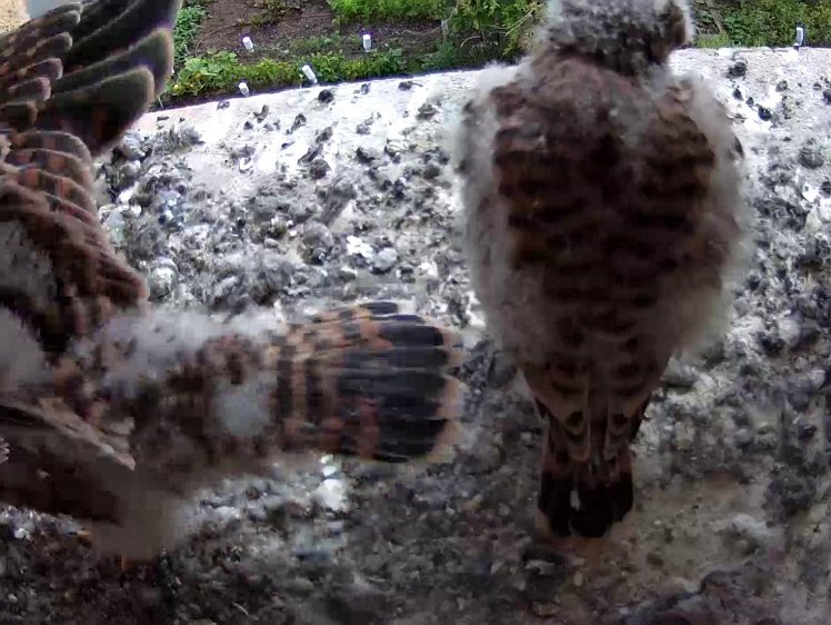 Frame_2021-08-04_11-02-45 11:02