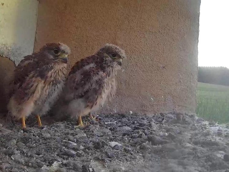 Frame_2021-08-05_06-43-44 06:43