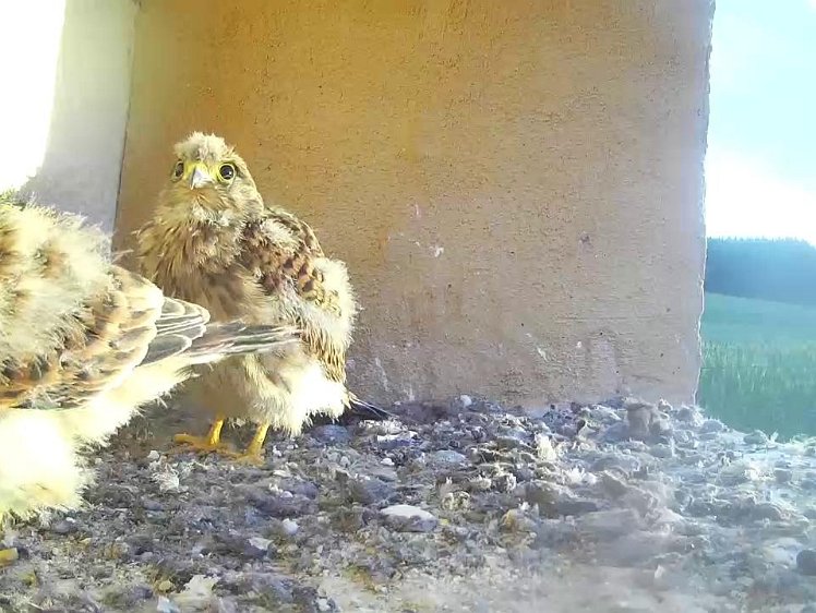 Frame_2021-08-05_06-46-00 06:46