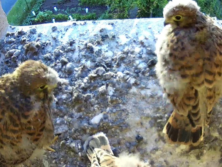 Frame_2021-08-05_06-46-16 06:46