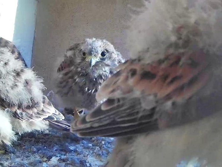 Frame_2021-08-05_06-46-21 06:46