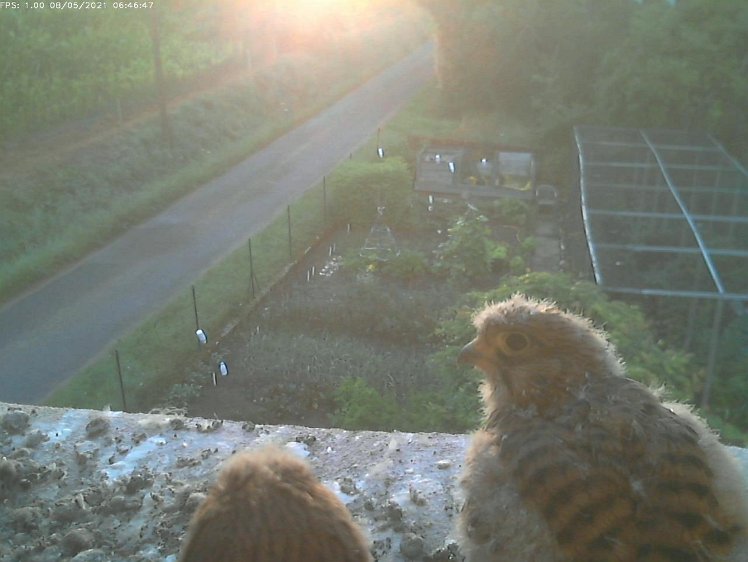 Frame_2021-08-05_06-46-47 06:46