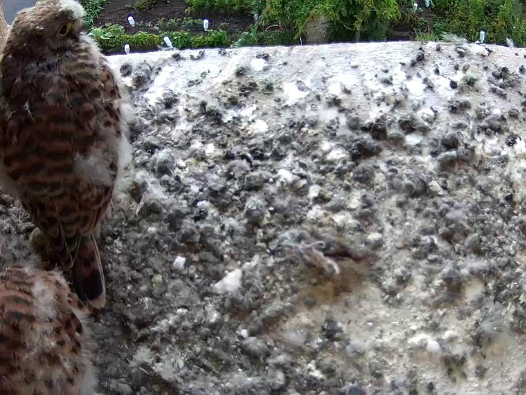 Frame_2021-08-05_07-30-38 07:30