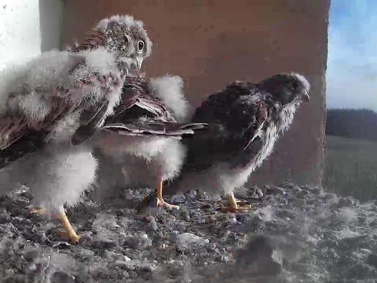 Frame_2021-08-05_07-50-27 07:50