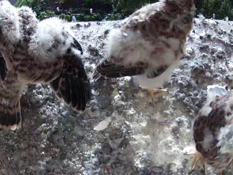 Frame_2021-08-05_07-52-06 07:52