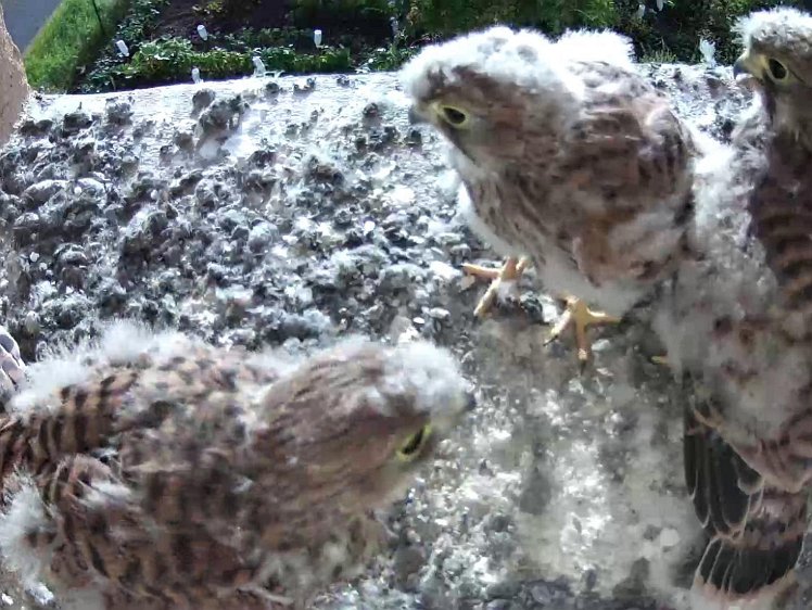 Frame_2021-08-05_07-53-41 07:53