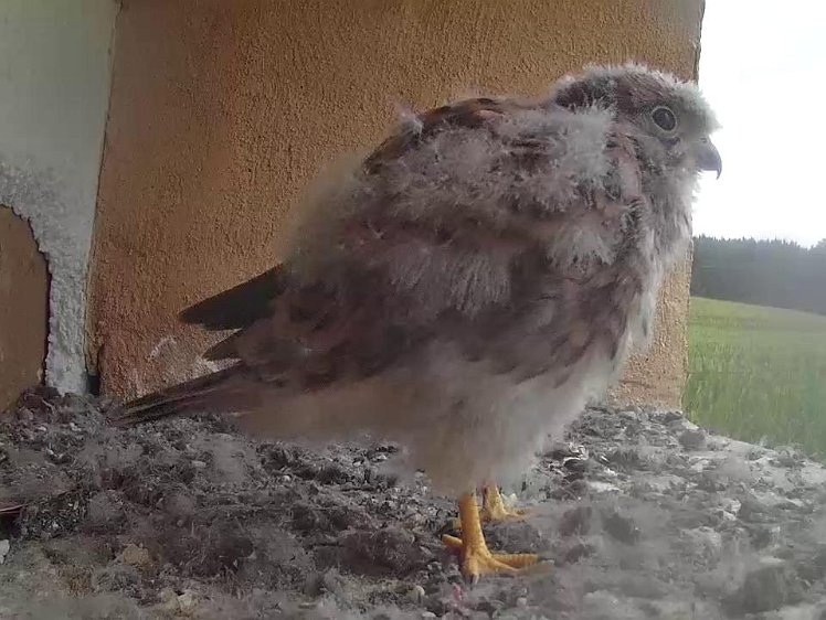 Frame_2021-08-06_06-40-46 06:40