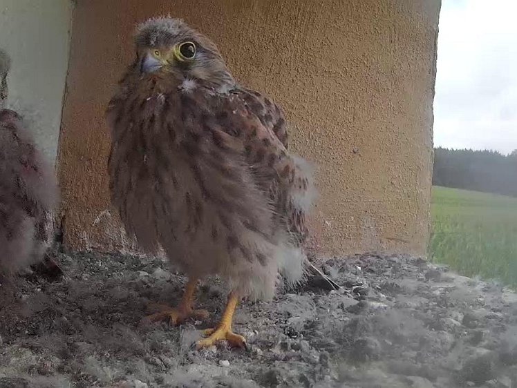 Frame_2021-08-06_06-49-51 06:49