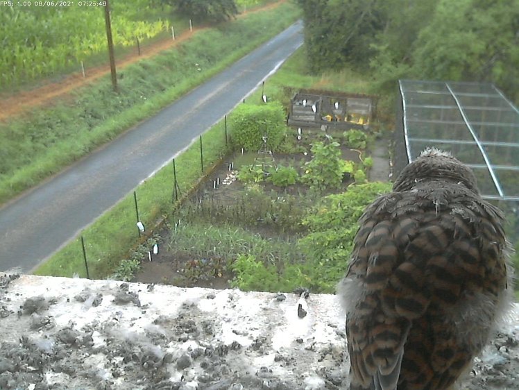 Frame_2021-08-06_07-25-48 07:25